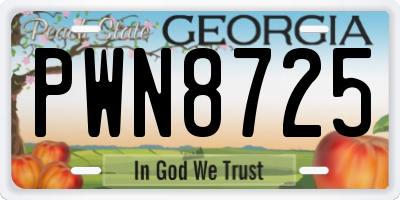 GA license plate PWN8725