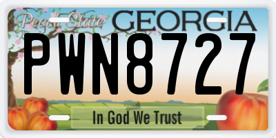 GA license plate PWN8727