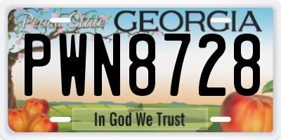 GA license plate PWN8728