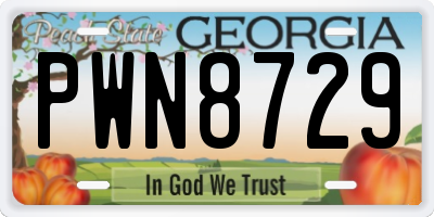 GA license plate PWN8729