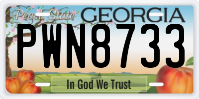 GA license plate PWN8733