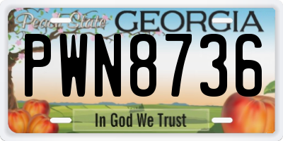 GA license plate PWN8736