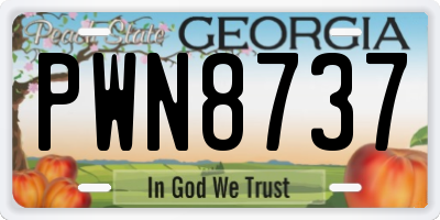 GA license plate PWN8737