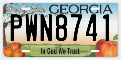 GA license plate PWN8741