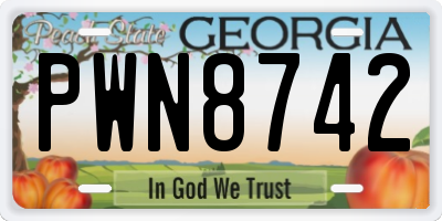 GA license plate PWN8742