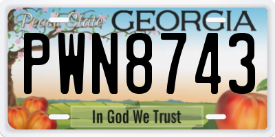 GA license plate PWN8743