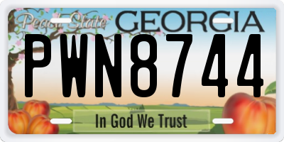 GA license plate PWN8744