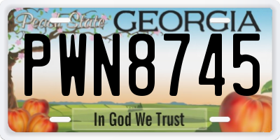 GA license plate PWN8745