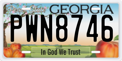 GA license plate PWN8746