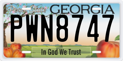 GA license plate PWN8747