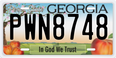 GA license plate PWN8748