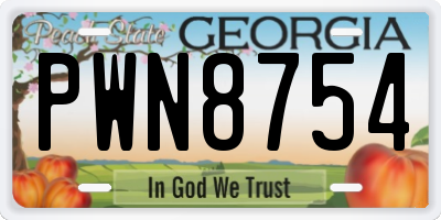 GA license plate PWN8754