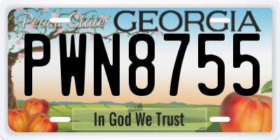 GA license plate PWN8755