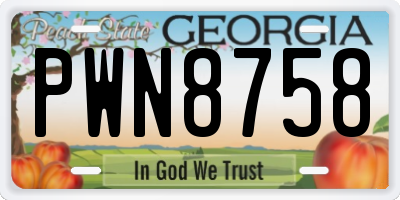 GA license plate PWN8758