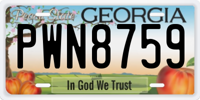 GA license plate PWN8759