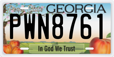 GA license plate PWN8761