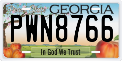 GA license plate PWN8766