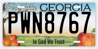 GA license plate PWN8767