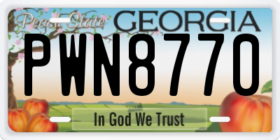 GA license plate PWN8770