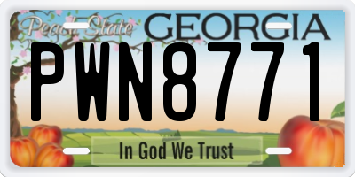 GA license plate PWN8771