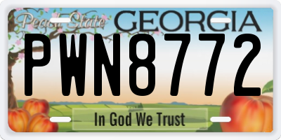 GA license plate PWN8772
