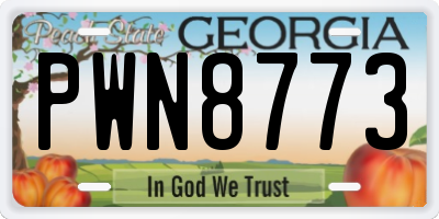 GA license plate PWN8773