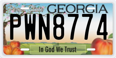 GA license plate PWN8774
