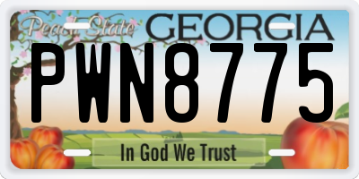 GA license plate PWN8775
