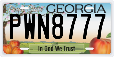 GA license plate PWN8777