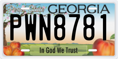 GA license plate PWN8781