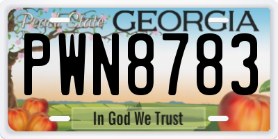 GA license plate PWN8783