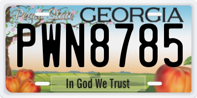 GA license plate PWN8785