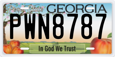 GA license plate PWN8787