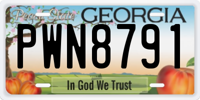 GA license plate PWN8791