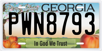 GA license plate PWN8793