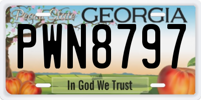 GA license plate PWN8797