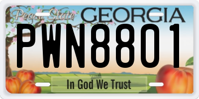 GA license plate PWN8801