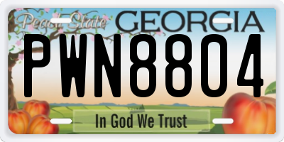 GA license plate PWN8804