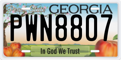 GA license plate PWN8807