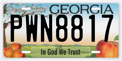 GA license plate PWN8817