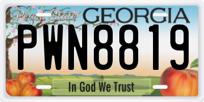 GA license plate PWN8819