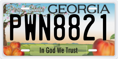GA license plate PWN8821