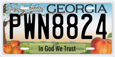 GA license plate PWN8824