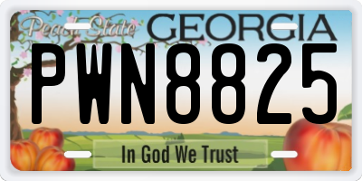GA license plate PWN8825