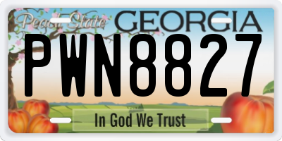 GA license plate PWN8827