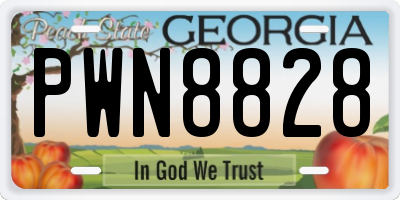 GA license plate PWN8828