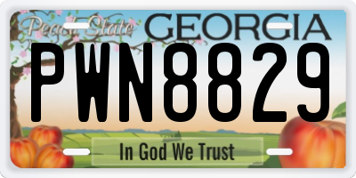 GA license plate PWN8829