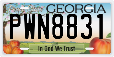 GA license plate PWN8831