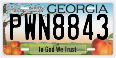 GA license plate PWN8843