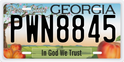 GA license plate PWN8845